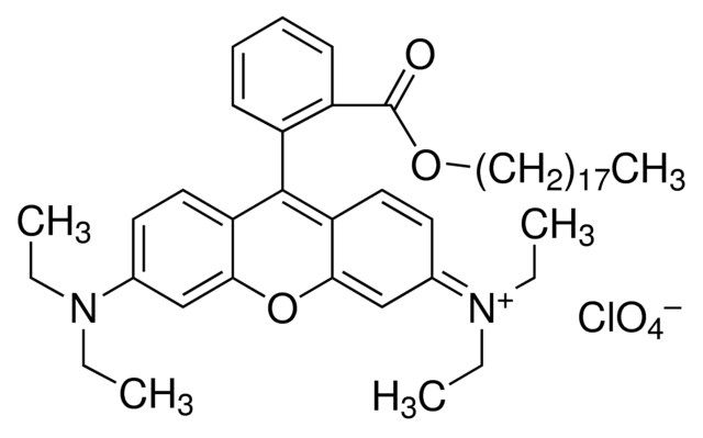 Rhodamine B octadecyl ester perchlorate