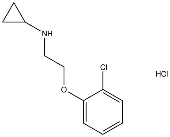 N-[2-(2-chlorophenoxy)ethyl]cyclopropanamine hydrochloride