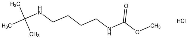 methyl 4-(tert-butylamino)butylcarbamate hydrochloride