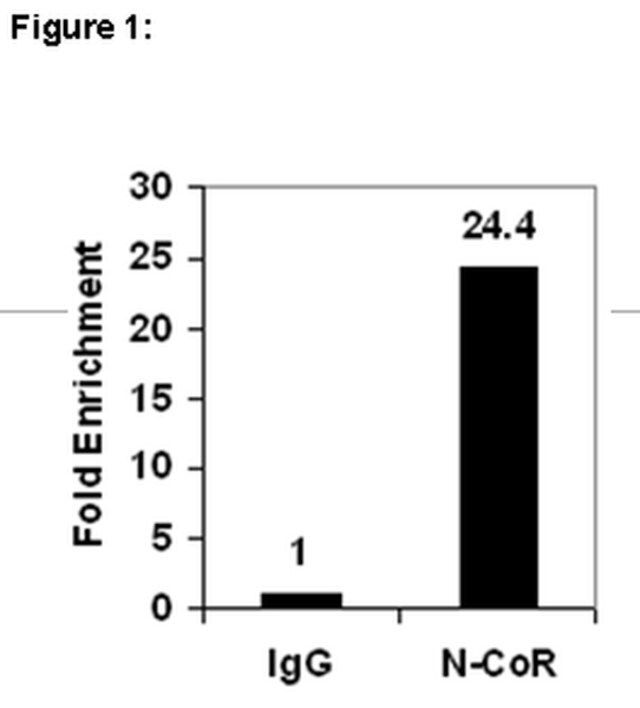 ChIPAb+ N-CoR Antibody
