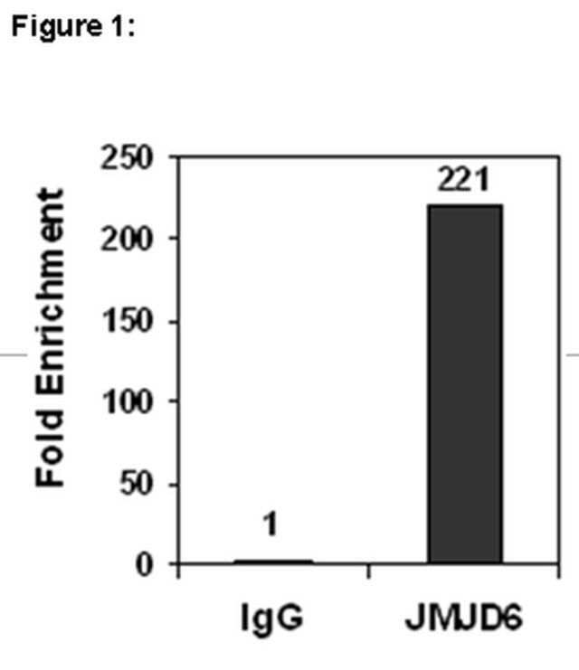 ChIPAb+ JMJD6-ChIP Validated Antibody and Primer Set