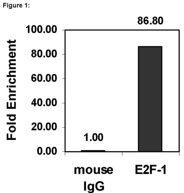 ChIPAb+ E2F-1-ChIP Validated Antibody and Primer Set