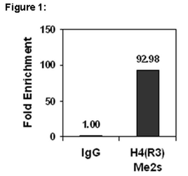 ChIPAb+ Dimethyl-Histone H4 (Arg3) Symmetric-ChIP Validated Antibody and Primer Set
