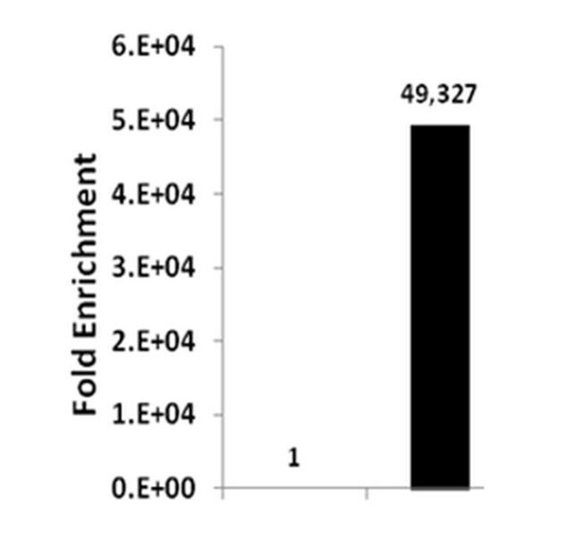 ChIPAb+ Acetyl-Histone H3 (Lys56)-ChIP Validated Antibody and Primer Set