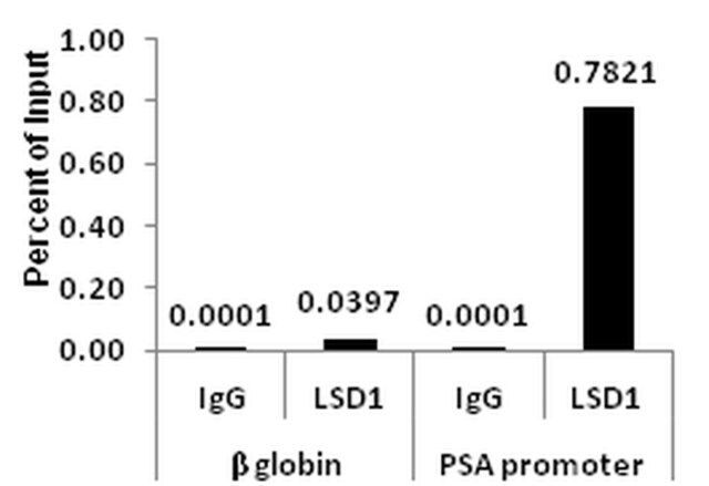 ChIPAb+ LSD1 (KDM1A) Antibody-ChIP Validated Antibody and Primer Set