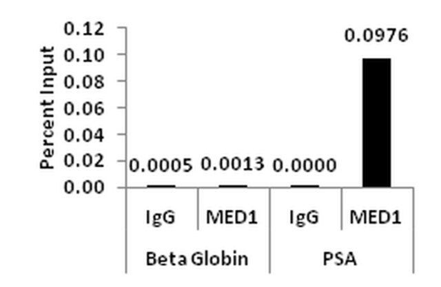 ChIPAb+ MED1 Antibody-ChIP Validated Antibody and Primer Set
