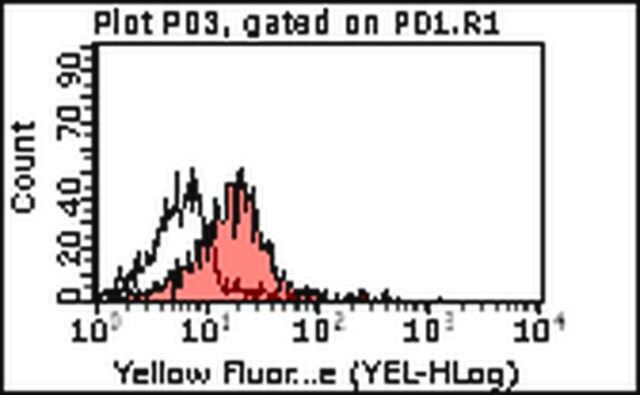 Anti-PAR-3 Antibody, clone 8E8