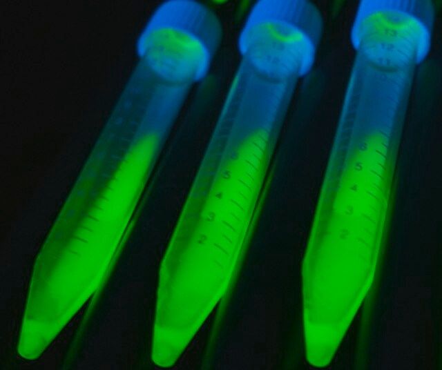 ALiCE<sup>®</sup> Cell Free Protein Expression Kit (Plant Cell Lysate)