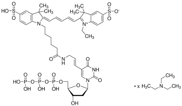 Aminoallyl-dUTP-Cy<sup>®</sup>5 triethylammonium salt solution