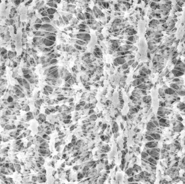 LCR Membrane Filter