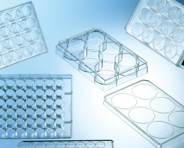 Greiner CELLSTAR<sup>®</sup> multiwell culture plates