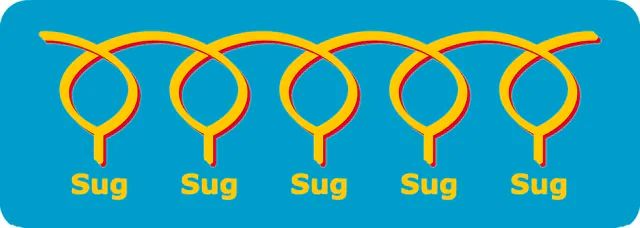 3-suGalβ-C3-PAA