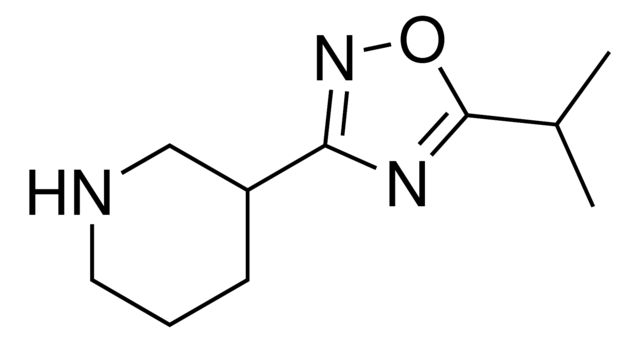 3-(5-Isopropyl-1,2,4-oxadiazol-3-yl)piperidine