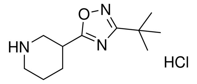 3-(3-tert-Butyl-1,2,4-oxadiazol-5-yl)piperidine hydrochloride