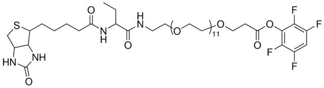TFP-dPEG<sup>®</sup><sub>12</sub>-biotinidase resistant biotin