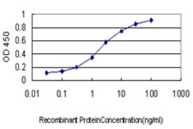 Monoclonal Anti-TUBB2 antibody produced in mouse