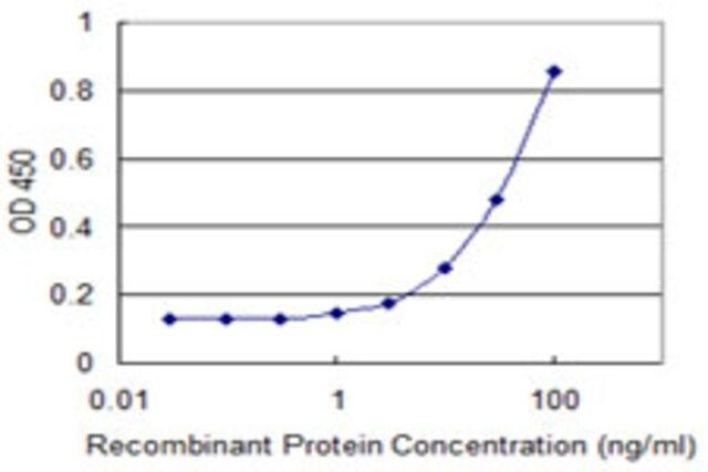 Monoclonal Anti-TTLL1 antibody produced in mouse