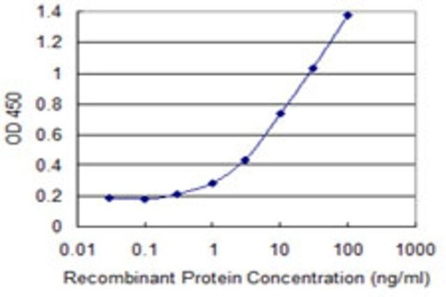 Monoclonal Anti-U2AF1L2 antibody produced in mouse