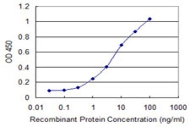 Monoclonal Anti-UBASH3A antibody produced in mouse