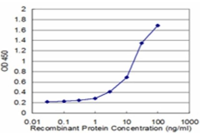 Monoclonal Anti-UBE2E3 antibody produced in mouse