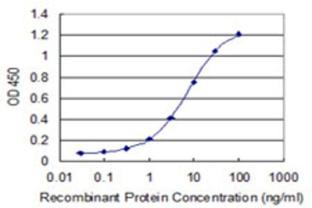 Monoclonal Anti-UBA6 antibody produced in mouse