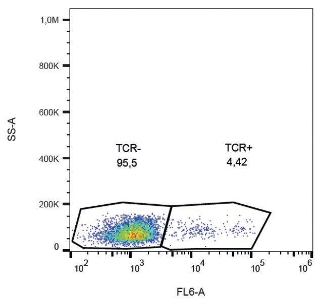 Monoclonal Anti-TCR gamma/delta antibody produced in mouse