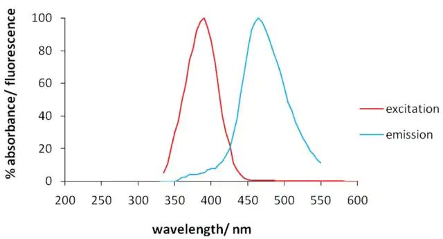 Monoclonal Anti-Neuroligin-Atto 390 antibody produced in mouse