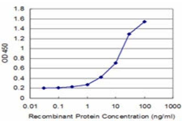 Monoclonal Anti-NELL1 antibody produced in mouse