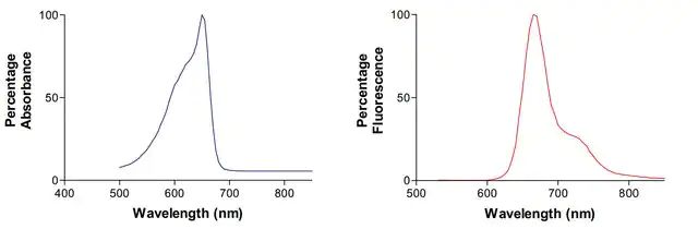 Monoclonal Anti-Neuroligin-Apc antibody produced in mouse