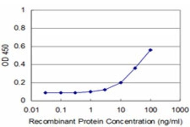 Monoclonal Anti-OSR1 antibody produced in mouse