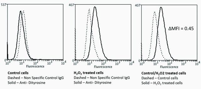 Monoclonal Anti-Dityrosine-FITC antibody produced in mouse