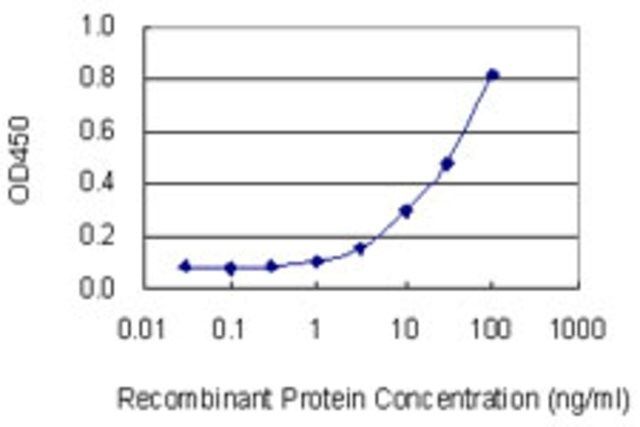 Monoclonal Anti-EIF4E2 antibody produced in mouse