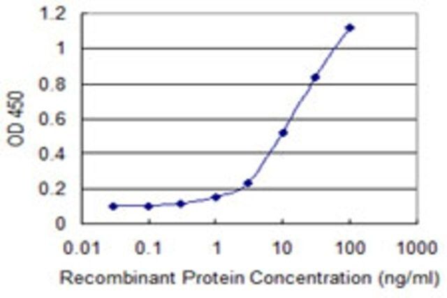 Monoclonal Anti-ELA3B, (C-terminal) antibody produced in mouse