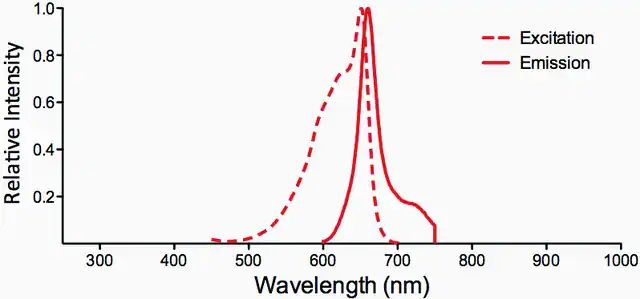 Monoclonal Anti-ENaC beta-Allophycocyanin antibody produced in mouse