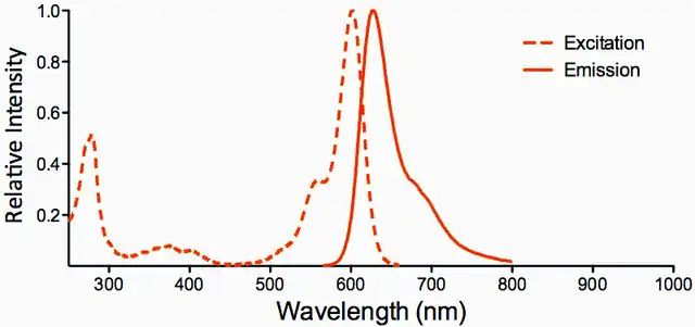 Monoclonal Anti-ENaC beta-Atto 594 antibody produced in mouse