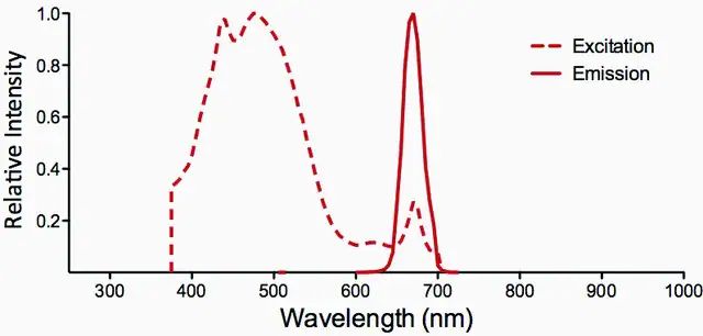 Monoclonal Anti-ENaC beta-PerCP antibody produced in mouse