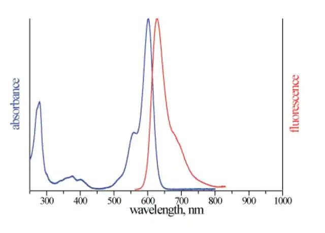 Monoclonal Anti-Clcn3-Atto 594 antibody produced in mouse