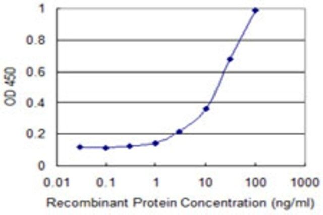 Monoclonal Anti-DAK antibody produced in mouse