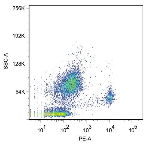 Monoclonal Anti-CD14 antibody produced in mouse
