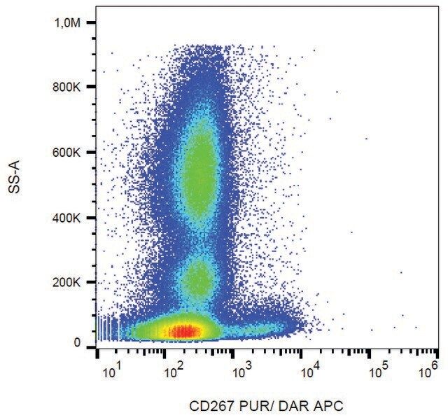 Monoclonal Anti-CD267 antibody produced in rat