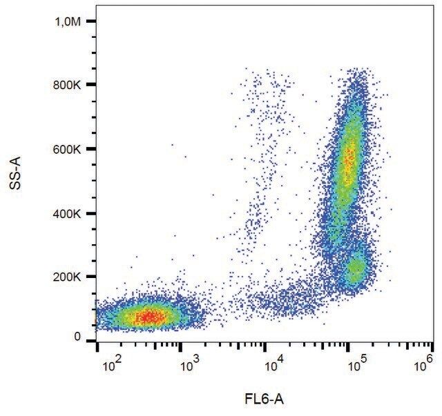Monoclonal Anti-CD157-APC antibody produced in mouse