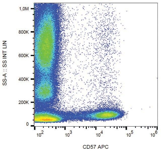 Monoclonal Anti-CD57-APC antibody produced in mouse