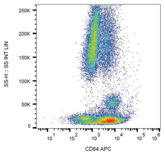 Monoclonal Anti-CD84-APC antibody produced in mouse
