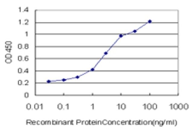 Monoclonal Anti-ANXA10 antibody produced in mouse