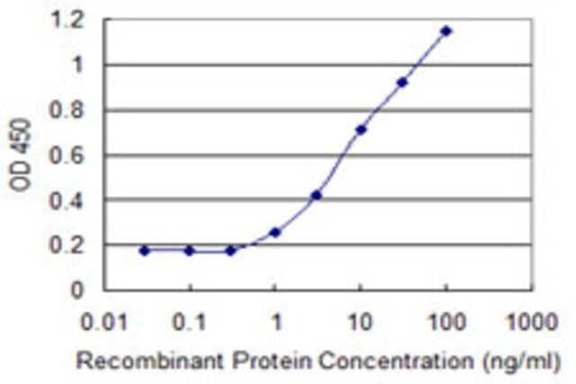 Monoclonal Anti-ARID5B, (C-terminal) antibody produced in mouse