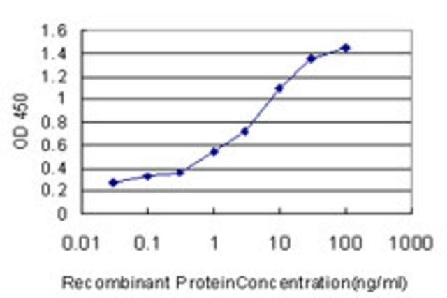 Monoclonal Anti-AP4B1, (C-terminal) antibody produced in mouse