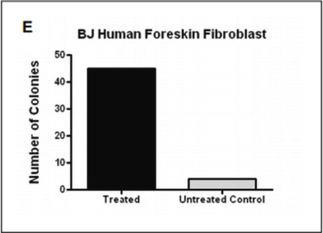 Human iPS Reprogramming Boost Supplement