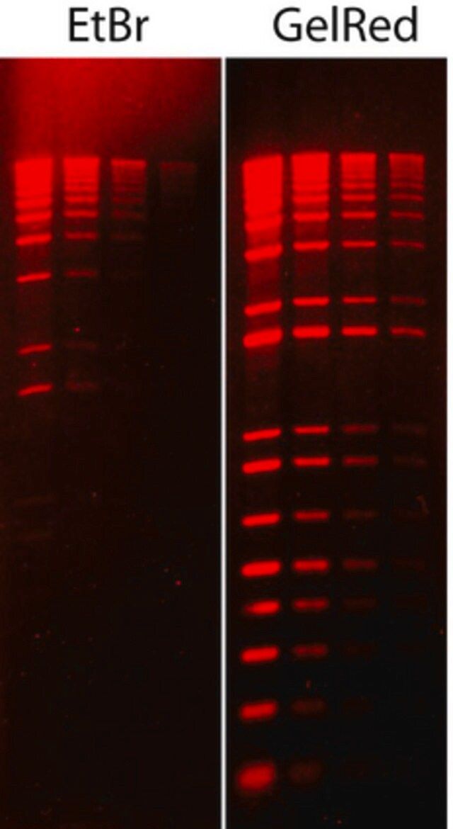 GelRed<sup>®</sup> Nucleic Acid Stain 10000X Water