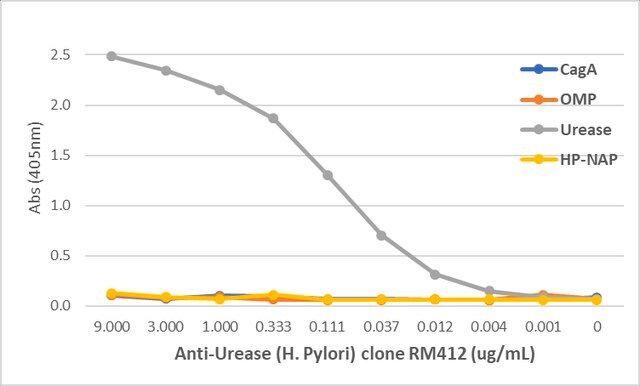 Anti-Urease (<i>Helicobacter Pylori</i>) Rabbit Monoclonal Antibody