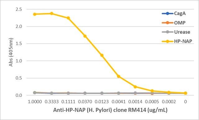 Anti-Urease (<i>Helicobacter Pylori</i>) Rabbit Monoclonal Antibody